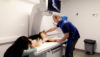 Chirurgie vétérinaire spécialisée Liège