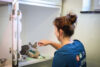hospitalisations 1 1