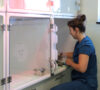 hospitalisations 2 1