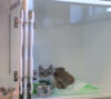 hospitalisations 3