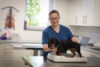 Vétérinaire petits animaux province de Liège